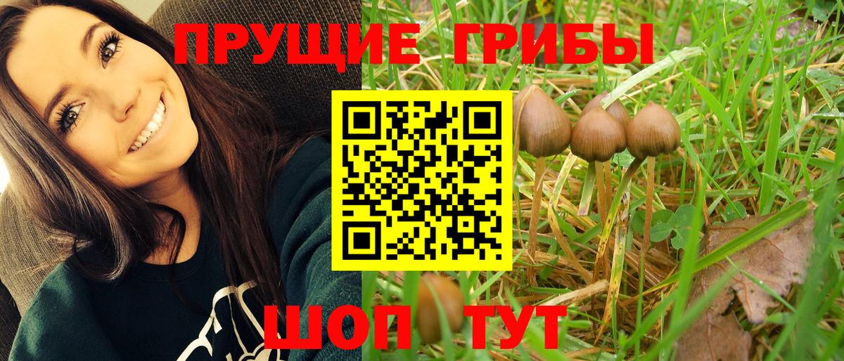Псилоцибиновые грибы Magic Shrooms  Вход с VPN  Бийск 