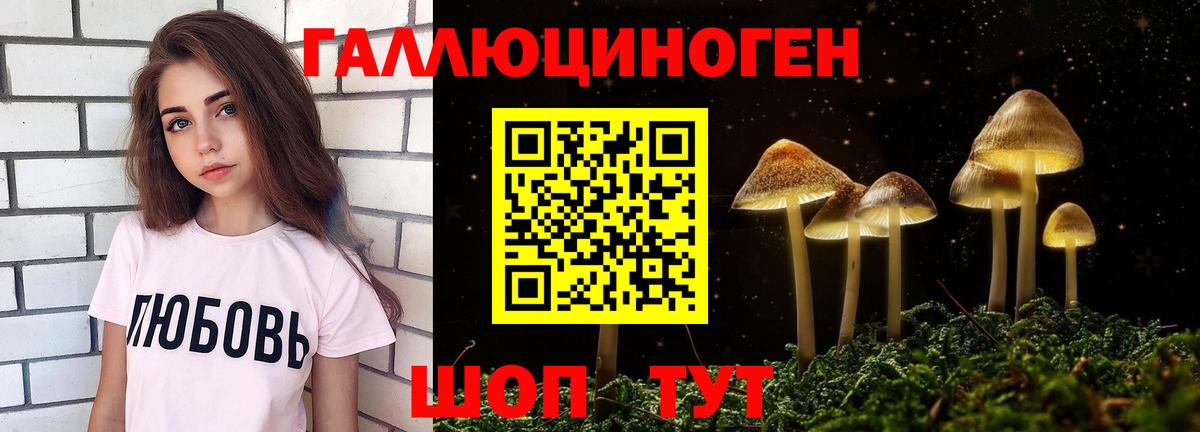 Галлюциногенные грибы Psilocybe Бийск